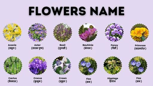 Flowers-Name.jpg
