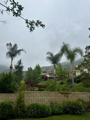 FullSizeRender (10).jpeg