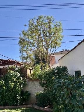 FullSizeRender (2).jpeg