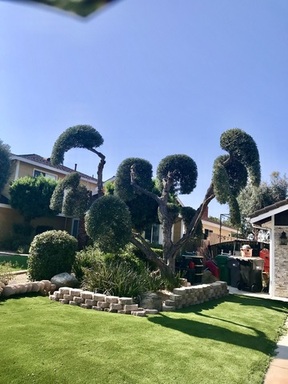 FullSizeRender (1).jpeg