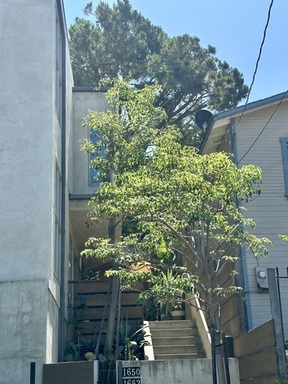 FullSizeRender (11).jpeg