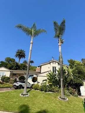 FullSizeRender (9).jpeg