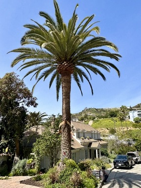 FullSizeRender (4).jpeg