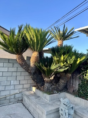 FullSizeRender (6).jpeg