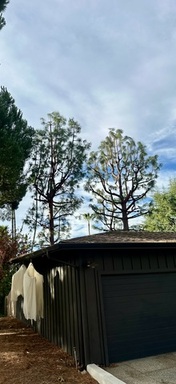 FullSizeRender (12).jpeg