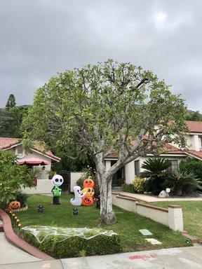 FullSizeRender (3).jpeg