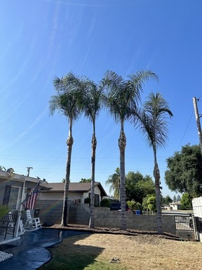 FullSizeRender (5).jpeg