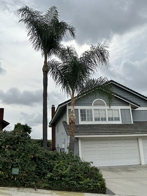 FullSizeRender (7).jpeg