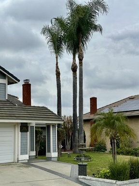 FullSizeRender (8).jpeg